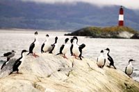 Excursion en Canal de Beagle