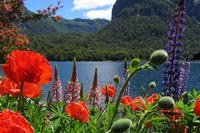 Puerto Blest, excursión navegable. Bariloche