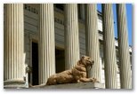 Museo de Ciencias Naturales de La Plata. Turismo en Buenos Aires