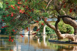 excursiones en buenos aires