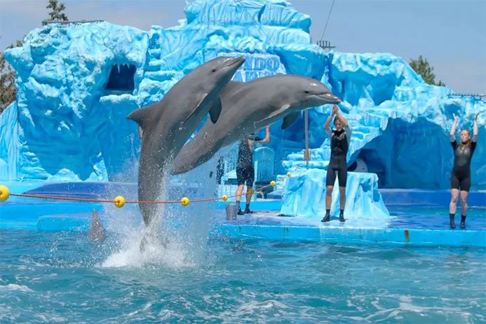 excursion mundo marino