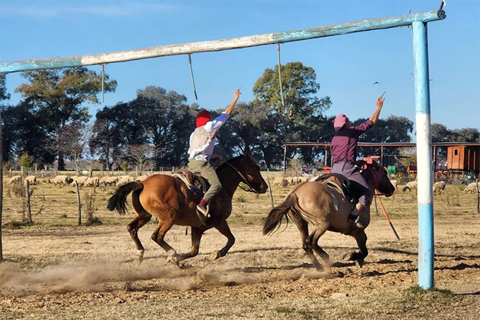 fiesta gaucha dia campo