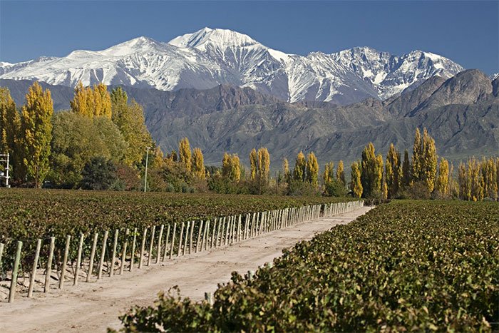 paquete mendoza